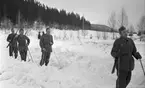 Statens Järnvägar, SJ Driftvärnsmän. SJ Driftvärn bildades 1946 och hade till uppgift att skydda viktiga anläggningar vid beredskap och krig. Driftvärnen lades ner 2005.