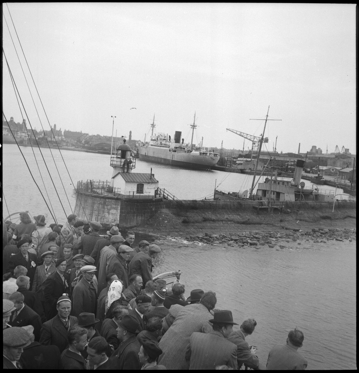 Danska flyktingar ombord tågfärjan Malmö på väg hem till Danmark.