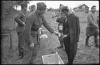 Matbespisning under evakueringen av finska flyktingar, hösten 1944.