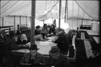 Evakuering av finska flyktingar, hösten 1944.