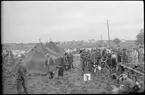 Evakuering av finska flyktingar, hösten 1944.