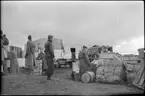 Under evakueringen av finska flyktingar, hösten 1944.