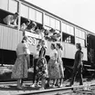 Statens Järnvägar, SJ Tåghem.
Exteriör av tåget, Lund, Ystad och Simrishamn stn.
(Blackebergs Lärov. tåghem)