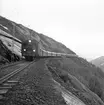 Statens Järnvägar, SJ Da 891 på linjen mellan Katterat och Rombak. Cirka 26 kilometer från Narvik.
Reportagefoto, SNCL 1956. Dollartåget.
(Motiv fr Narvik, Rombackfjord)