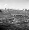 Nordkapsturen. Sikfiske i Torneälv, Kokkolaforsen.