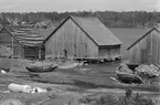 Ålandsresa. Skärgård. Fiskeläger med ekor