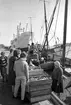 Ålandsresa. Fiskförsäljning i hamnen. M/S Boge. Fiskebåt, Suomi 61