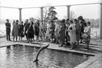 Statens Järnvägar, SJ Ingenjörsförening 50 år. Här vid besök vid Millesgårdens skulpturpark. I förgrunden syns Aganippefontänen skapad av Carl Milles.