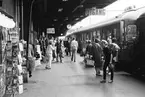 Stockholm Central. Ankommande tåg spår 10