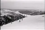 Skidturister på fjället.