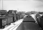 Bangården vid Trelleborg hamn med internationella godsvagnar. Bland annat DB, Deutsche Reichsbahn G 38631.