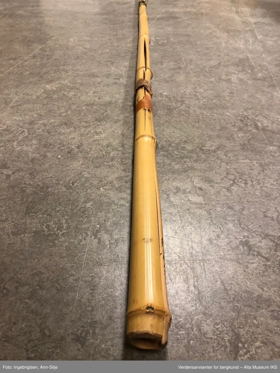 Bambusstang som er splittet, og nå er holdt sammen med tape som er festet med jevne mellomrom langs hele stanga.