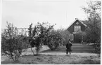 Bergfors station öppnades 1903 med stationshus i trä. Elektrisk växelförregling. Delen av Malmbanan vid Bergfors elektrifierades 1915. Stationen upphörde 1997. Trädgårds skötsel.