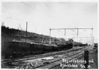 Tågurspårning vid Björkliden 12/6 1924