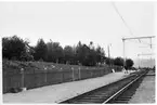 Björkliden stationsplantering