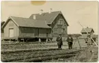 Faringe Gimo Järnväg, Haberga stationshus under uppbyggnad. Schaktmästare Ahlqvist, Pinnpojke Werner Andersson (blev Banvakts förman), Arbetare Ruben Mattson