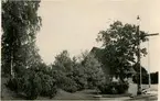 Plantering i anslutning till vacker trädvegetation, bibehållen vid utformningen av stationsplanen i Krokek.
Stationen anlades 1912. 1939-40 moderniserades såväl expeditionslokalerna som bostadslägenheten. Tvåvånings tegelbyggnad