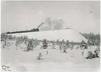 Svartön stjärtståret. Bangård på Svartön vid Luleå station. Redan 1883  började anläggningsarbeten på Svartön vid Luleå för järnvägen Luleå Gällivare - Luossavaara - Victoriahamn. Det tog nästan 6 år innan det första malmtåget kom ned till Luleå 1888. Banan byggdes av Sverige & Norge Järnväg.