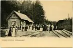 Stavsjö station. Stafsjö Järnvägar, Stafsjö J. Kallas också för Nunnebanan. Öppnades 1902 av AB Stafsjö Jernväg, Stafsjö J. Vid anslutningen till Statens Järnvägar, SJ 1915 bytte stationen namn till Stafsjöbruk. Banan lades ner 1939.