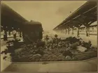 Stockholm Central, plantering vid stoppbockar