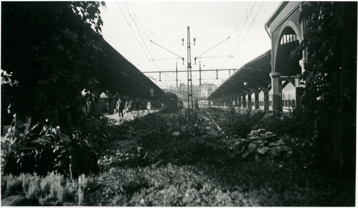 Plantering vid Stockholm Centralstation.