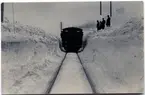Snöstormen i södra Sverige 1929