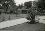 Plantering sedd från Banbiträde bostaden vid Önnestad.