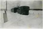 Snövidder vid Norrtälje vintern 1942.