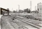 Vrena foto mot söder, en man står och gräver. Trafik började 1876, Sidospår till sågverket 1921-10-01, brädgården 1938-05-15.