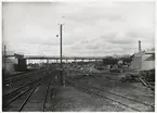 Ställningsbro för vägbro, under bygget av vägbro över bangården vid Lund centralstation, mars 1925.