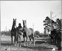 Hästarna bortföras efter lossning och vattning.