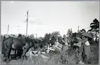 Hästarna bortföras efter lossning och vattning. Tendervagn bakom militärerna Statens Järnvägar, SJ 1022.