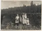 Alla fem barnen till Per Erik och Tekla Andersson i Långsjön står uppställda för fotografen. Från vänster: Astrid, Ingemar, Ingrid, lilla Ingeborg och Sigrid 