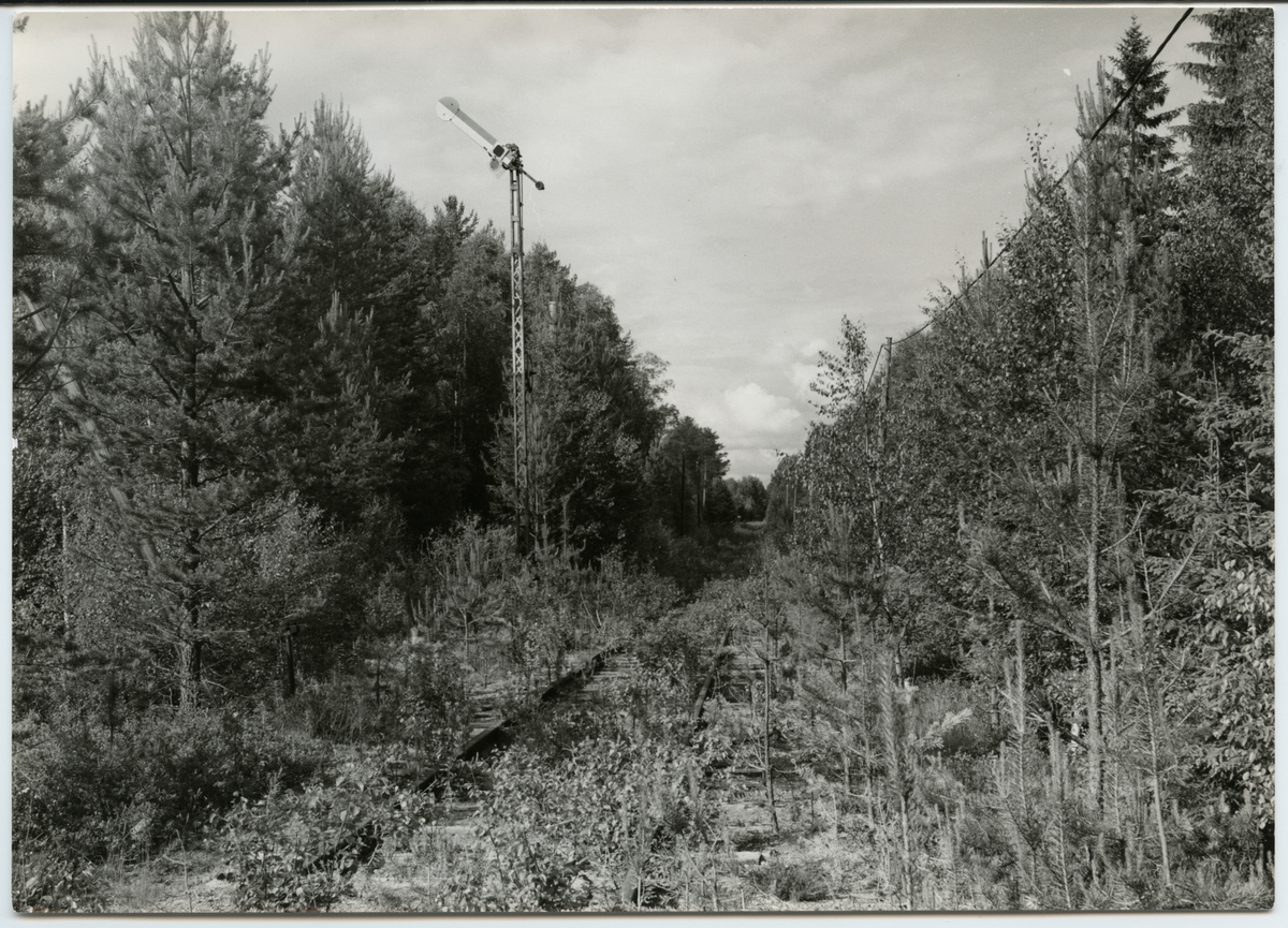 Semafor vid infart mot stationsområde,  någonstans på sträckan Mora-Älvdalen.