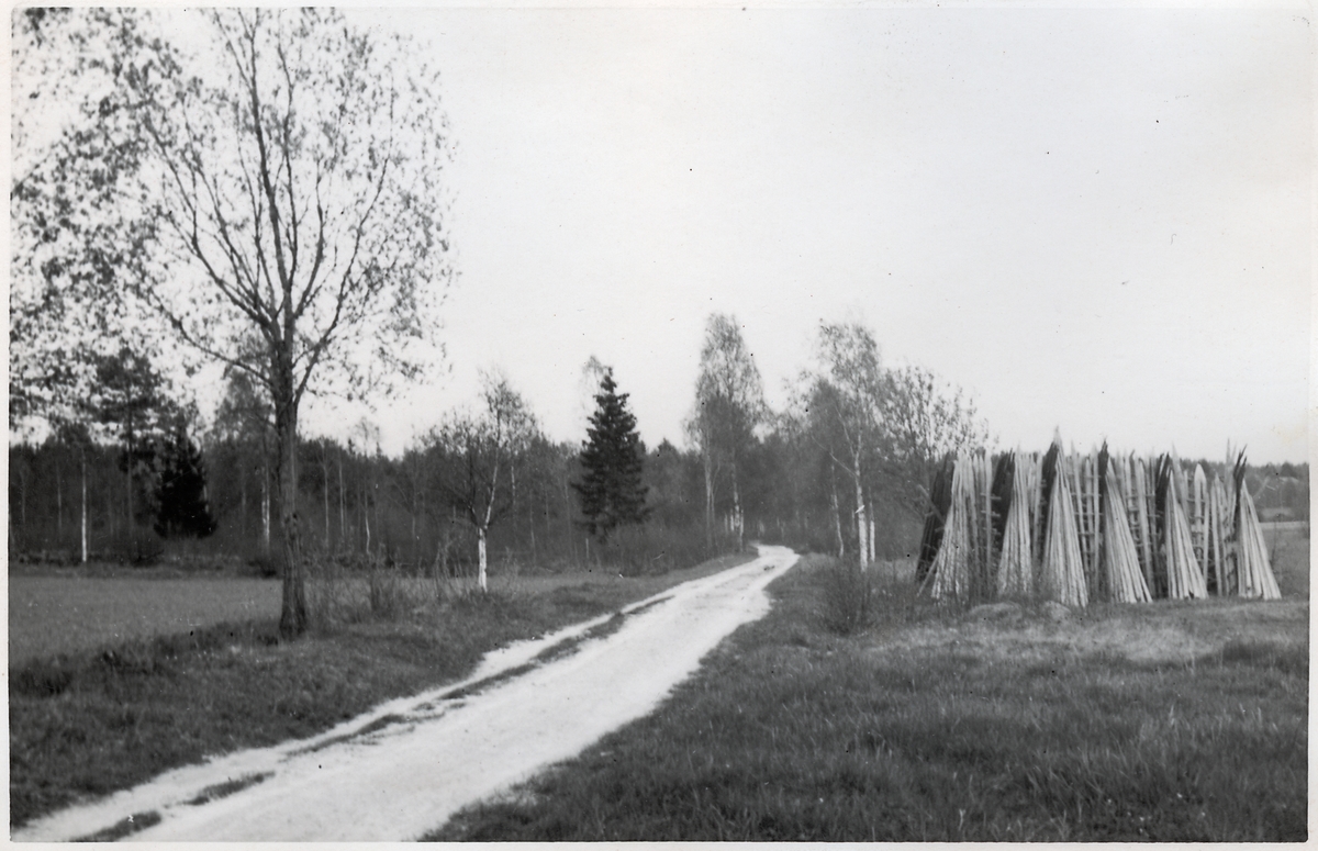 Banvall på Norbergs Järnväg.