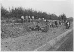 Banbyggnad av sträckan Klippan - Östra Ljungby, 1906.