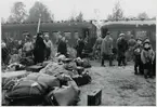 Finska flyktingar i Haparanda, hösten 1944. Finska personvagn från   Valtionrautatiet, VR (Statsjärnvägarna).