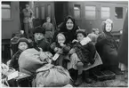 Finska flyktingar i Haparanda, hösten 1944.