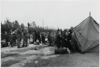 Finska flyktingar i Haparanda, hösten 1944.