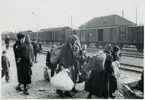 Finska flyktingar i Haparanda, hösten 1944. SJ Grh.