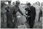 Finska flyktingar i Haparanda, hösten 1944.