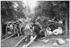 Kärror lastade med finska flyktingars tillhörigheter, Haparanda, hösten 1944.