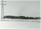 Kraftledningsstolpe vid planerat verkstadsområde.