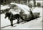 Äldre malmtransport med rallvagnståg på hästbanan vid Grängesberg vid sjön södra Hörken 1927.