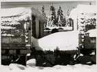 Snötäckta godsvagnar.