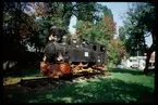 Ånglok utställt vid järnvägsmuseet Muzeul locomotivelor cu abur din Reia i Rumänien.