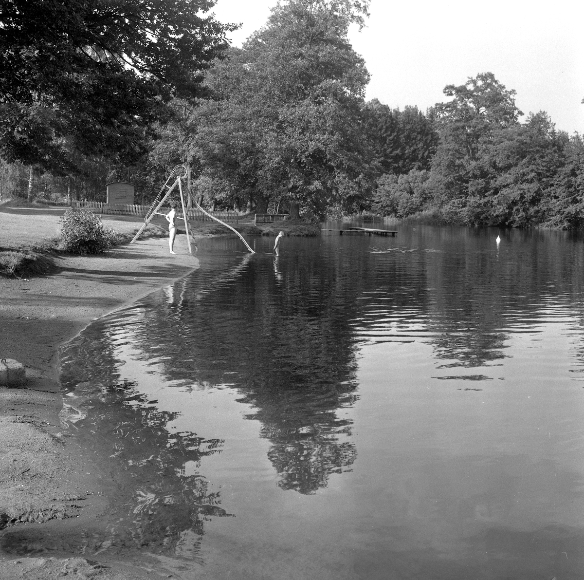 Plums i böljan, Hästhagen.
30 juli 1958.