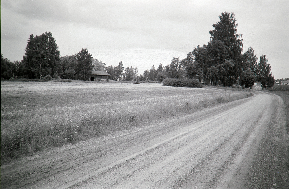 Bårderud gård, Grue.