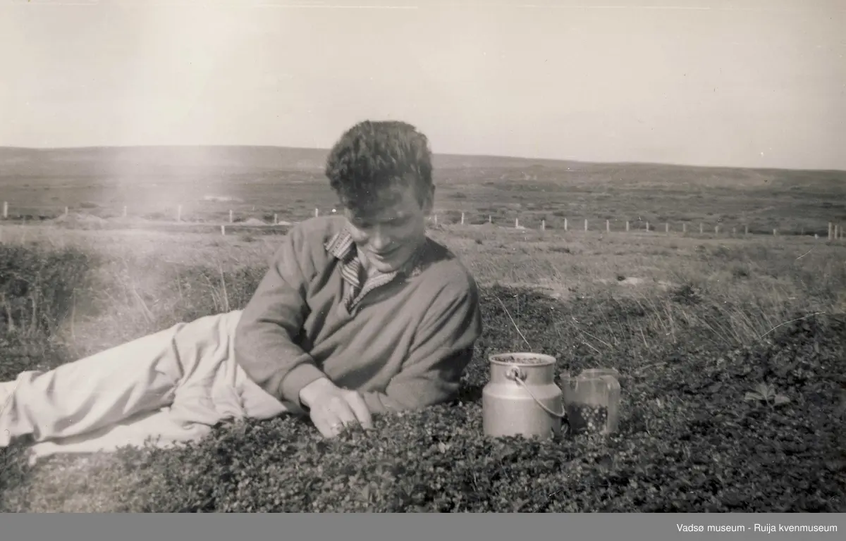 Åsmund Johansen i lyngen og plukker tyttebær på Østmoen i Skallelv 1950-tallet.
