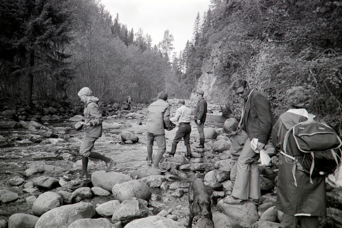 Hedmarksmussets venner, tur til Vang/Furnes. Flagstadelva(?).
